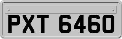 PXT6460