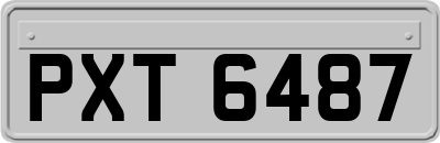 PXT6487