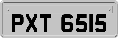 PXT6515