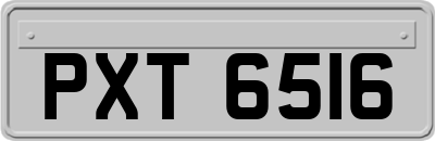 PXT6516