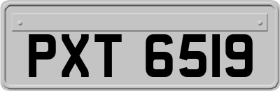 PXT6519