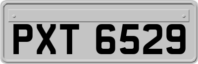 PXT6529