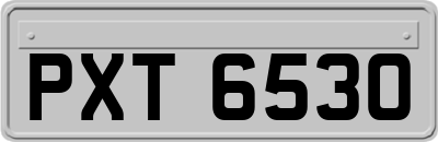 PXT6530