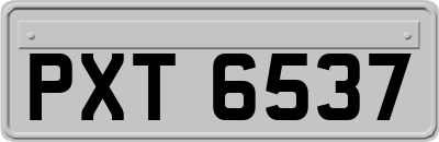 PXT6537