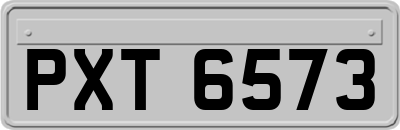 PXT6573