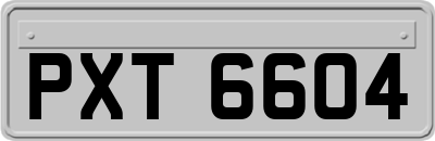 PXT6604