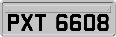 PXT6608