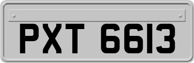 PXT6613