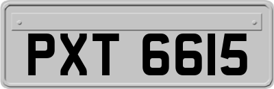 PXT6615