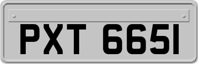 PXT6651