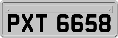 PXT6658