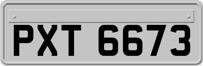 PXT6673