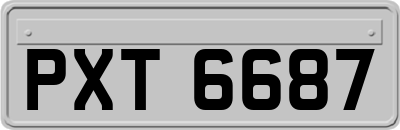 PXT6687