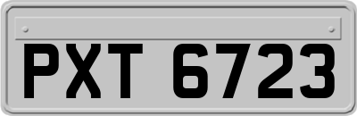 PXT6723