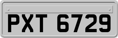 PXT6729