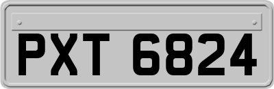 PXT6824