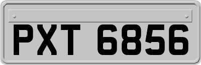 PXT6856