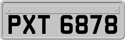 PXT6878