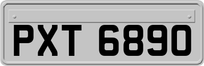 PXT6890