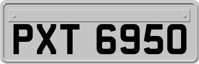 PXT6950