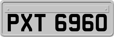 PXT6960