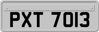 PXT7013