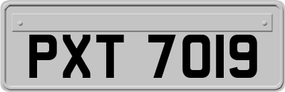 PXT7019