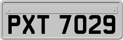 PXT7029