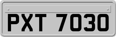 PXT7030