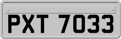 PXT7033