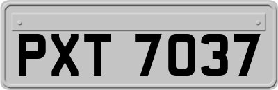 PXT7037