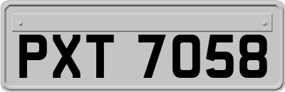 PXT7058