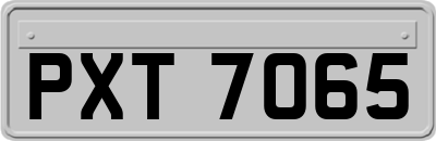 PXT7065