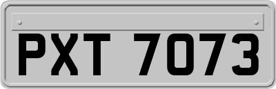 PXT7073