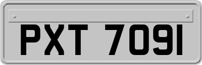 PXT7091