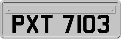 PXT7103