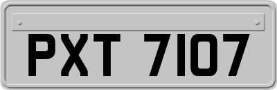 PXT7107