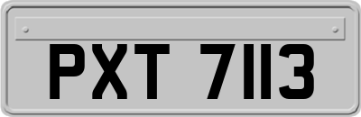 PXT7113