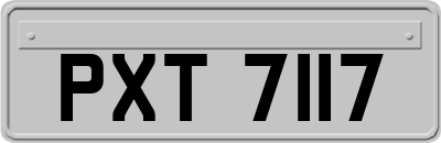 PXT7117