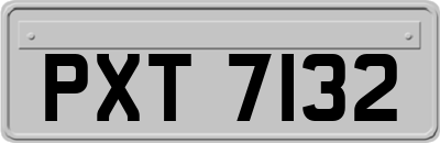 PXT7132