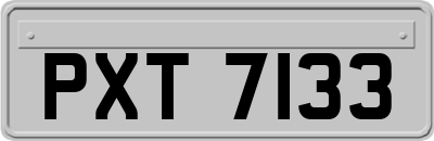 PXT7133