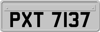 PXT7137