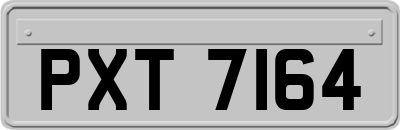 PXT7164