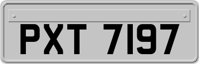 PXT7197