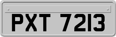 PXT7213