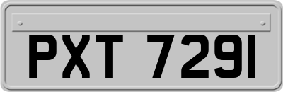 PXT7291