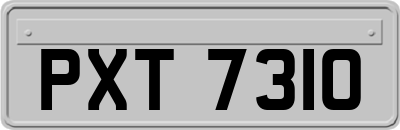 PXT7310