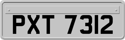 PXT7312