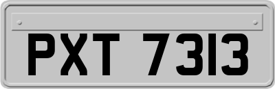 PXT7313