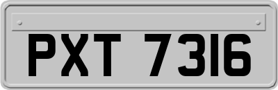 PXT7316